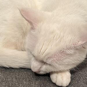 gemmamorrisnz avatar