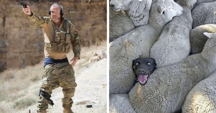 50 Images That Are So Dope, You Could Slap Them On The Cover Of Music Albums