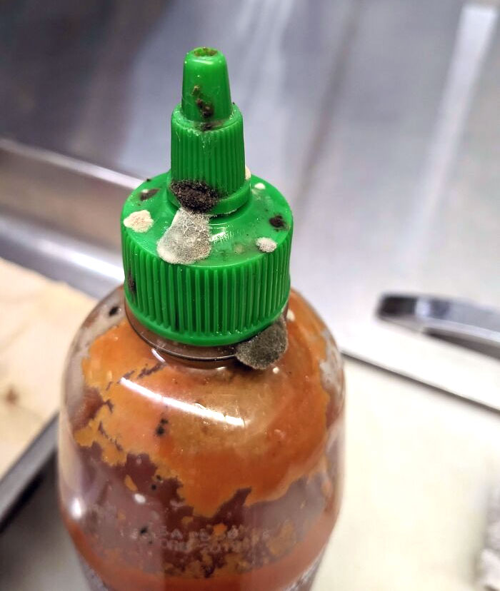 Do I Have A Moral Obligation To Report A Restaurant I Just Quit?