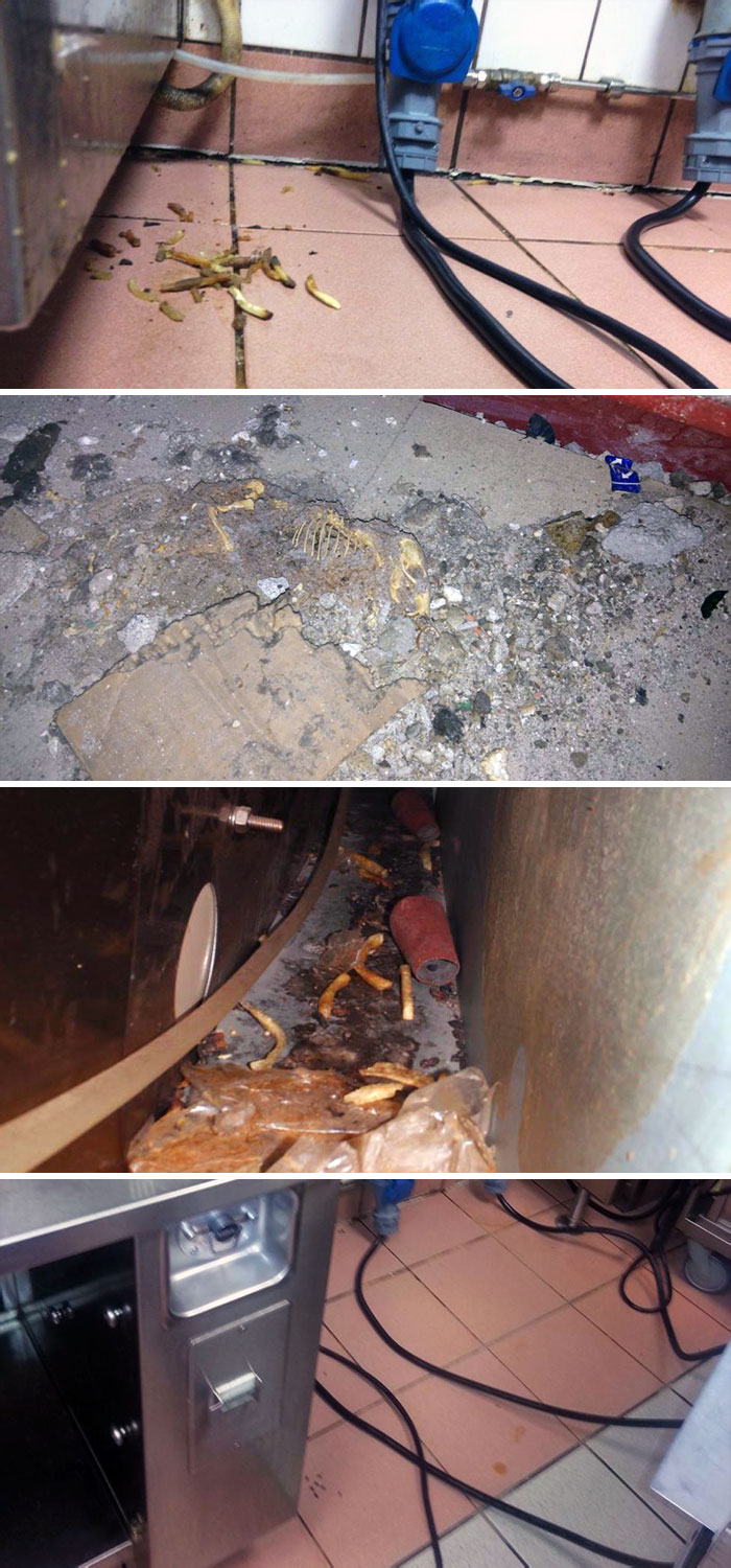 This Is What The Norwegian Food Safety Authority Found In One Of The Norway's Largest McDonald's. It Was Shut Down On The Spot