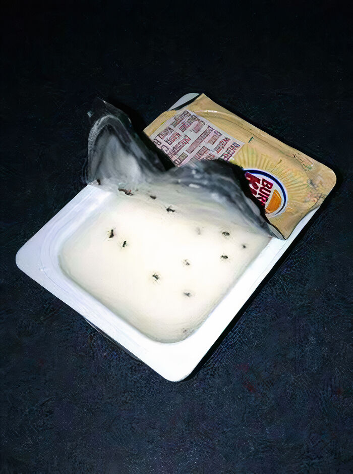 My Friend Received Ants In Her Icing From The Burger King