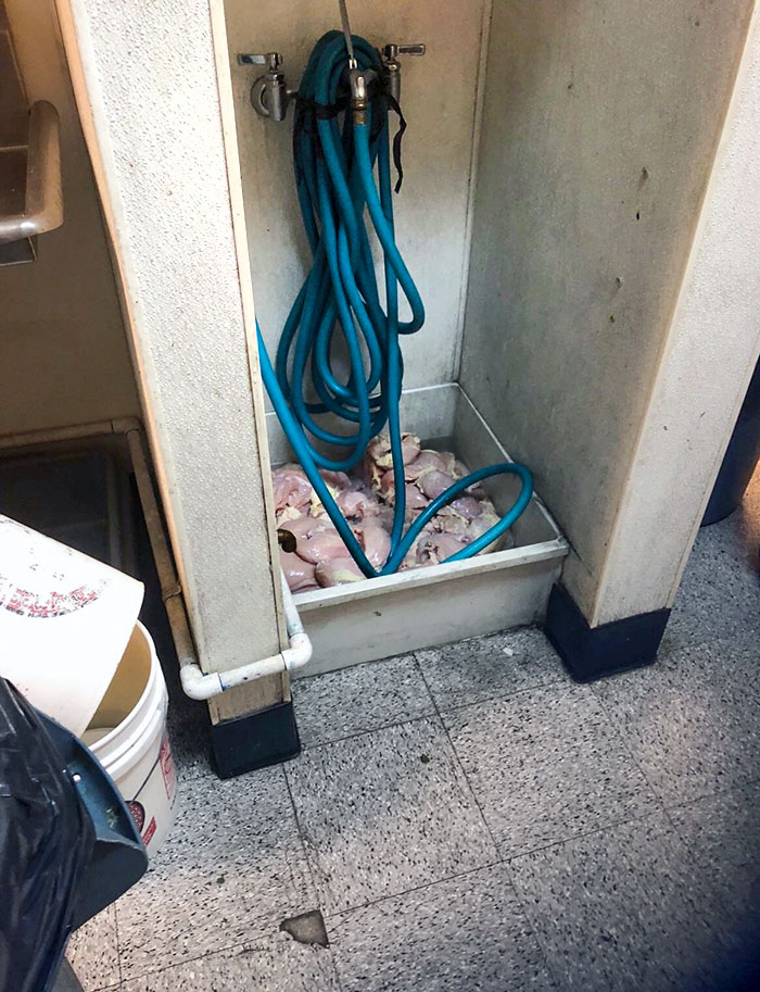 My Chef Found This At Another Local Restaurant. I Never Saw A Mop Sink Used For Defrosting Before