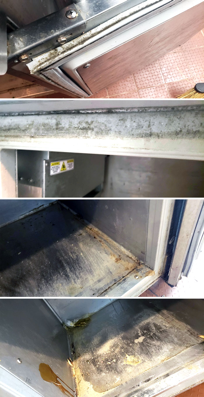 What Do You Think Of This Mold In A Local Restaurant?