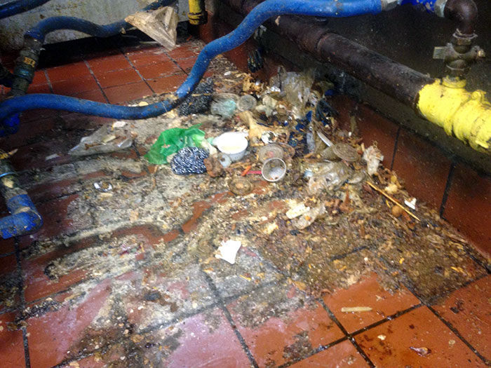 I Was Servicing The Exhaust Hoods At A Popular Chain Restaurant. This Was Under The Fryer