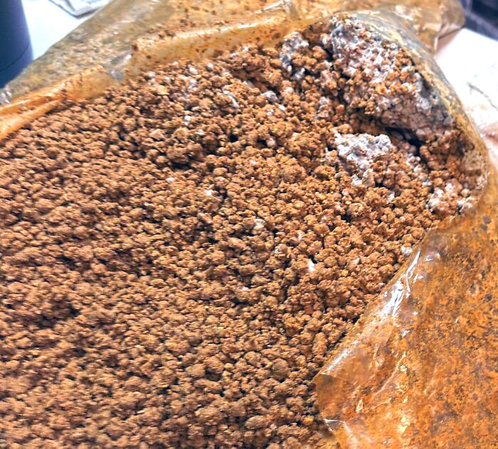 I Was Told Mold Is Just Penicillin