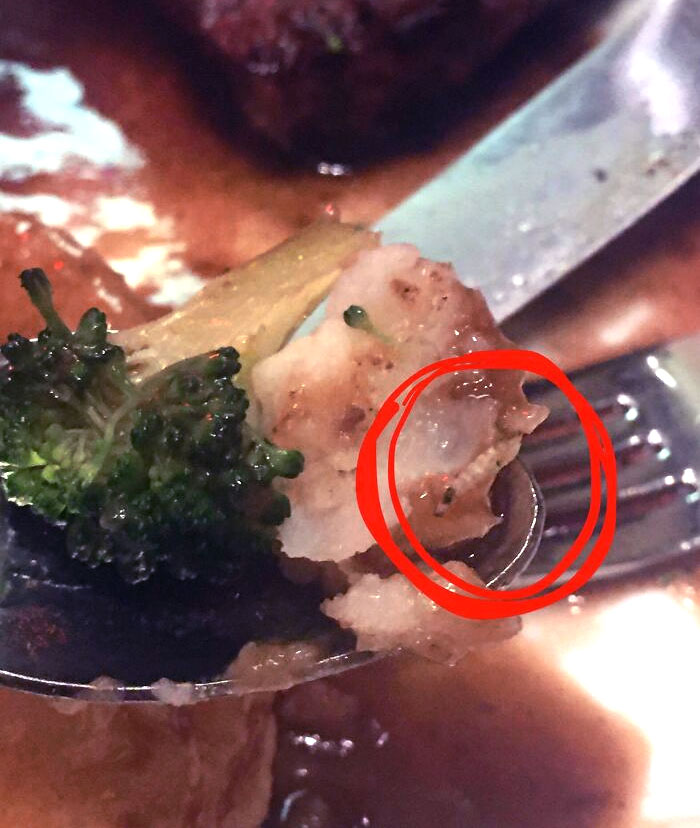 I Found Larvae Worm Or Maggot. It Was Served To Me At Santa Fe Hotel & Casino In Grand Cafe 