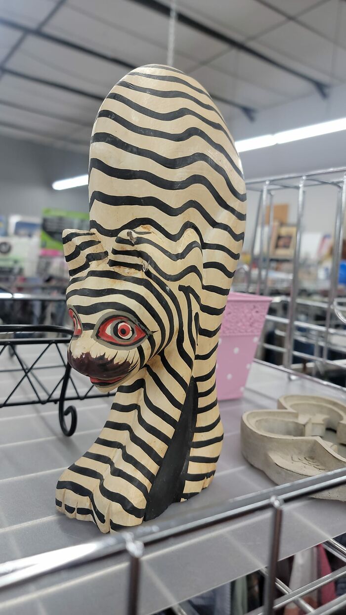 Found And Left At Spencer Ia Goodwill. Meeeeow?