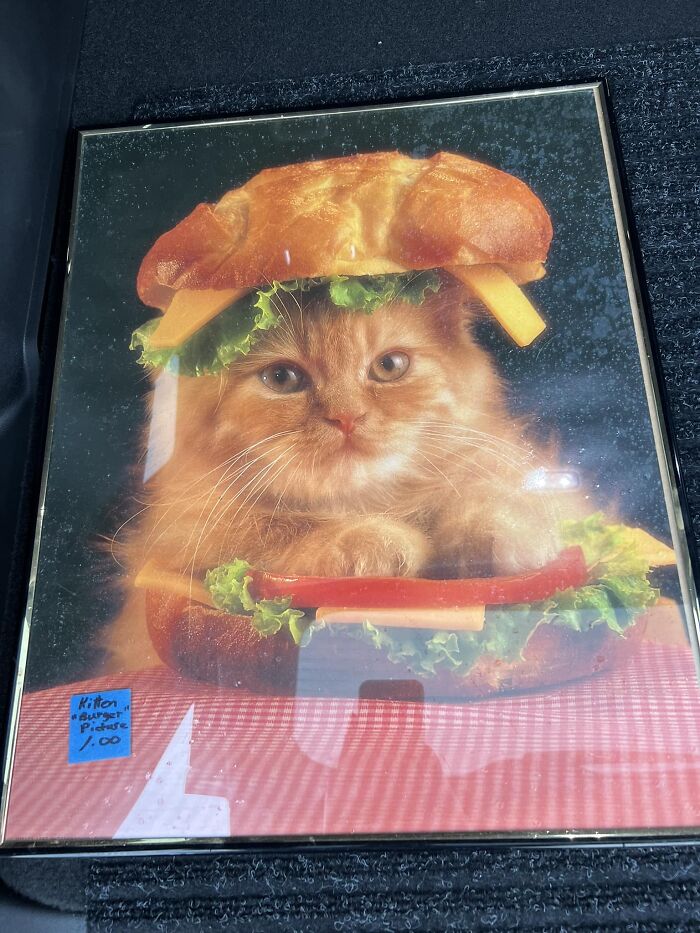This Absolute Piece Of Art Was Found At My Local Animal Shelters Rummage Sale And Of Course Came Home With Me