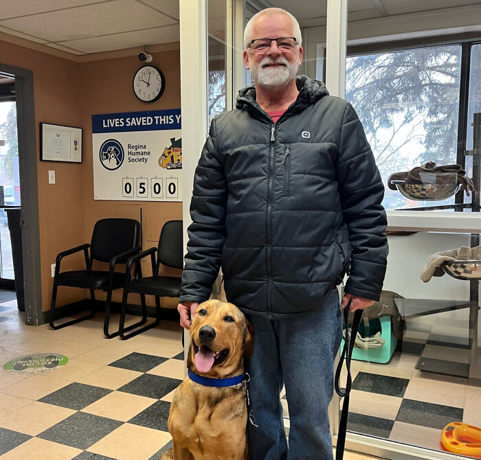 Heartwarming Video Showing Shelter Dog Saying Goodbye To Staff Members After Being Adopted