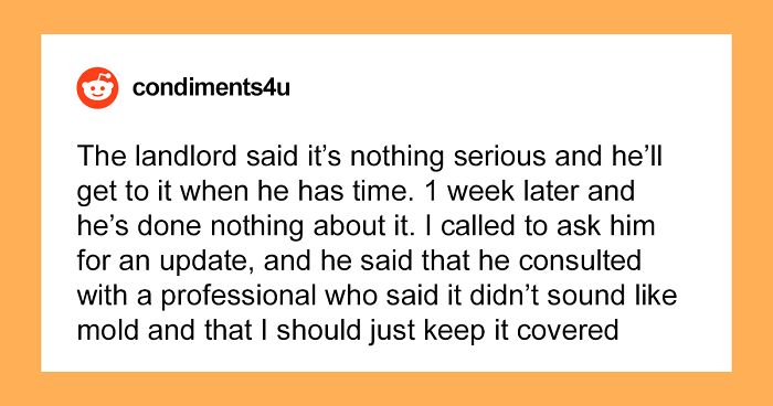 Tenant Finds Mold In The House Landlord Refuses To Do Anything, Tenant Makes Him Regret It