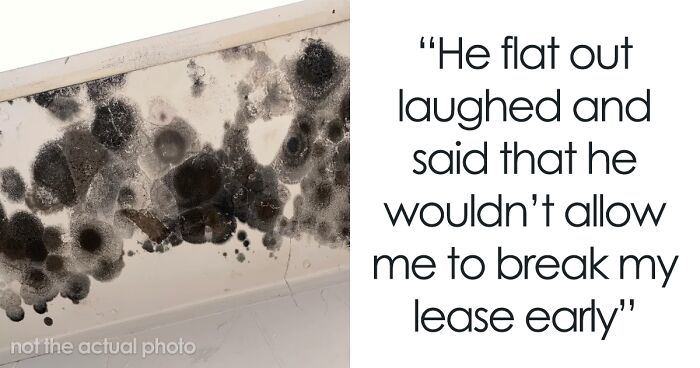 Tenant Finds Mold In The House Landlord Refuses To Do Anything, Tenant Makes Him Regret It