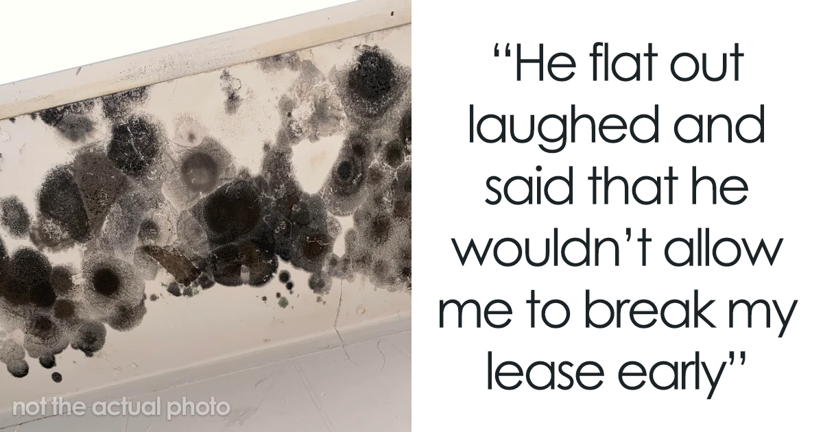 Tenant Finds Mold In The House Landlord Refuses To Do Anything, Tenant