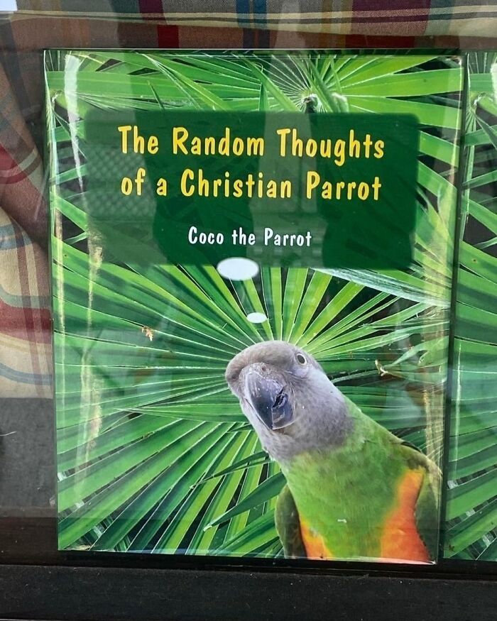 Lucky-Thrift-Store-Art-Findings