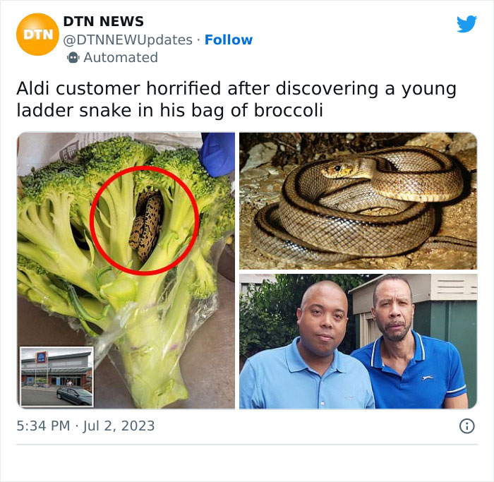 Man Receives Shock Of A Lifetime After Finding Snake Inside Bag Of Broccoli, Demands Compensation