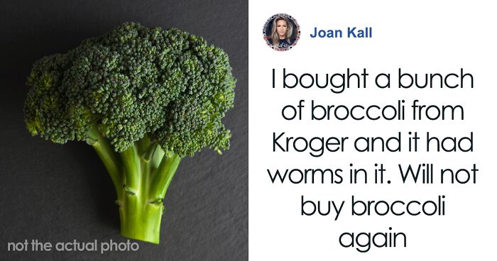 Man Receives Shock Of A Lifetime After Finding Snake Inside Bag Of Broccoli, Demands Compensation