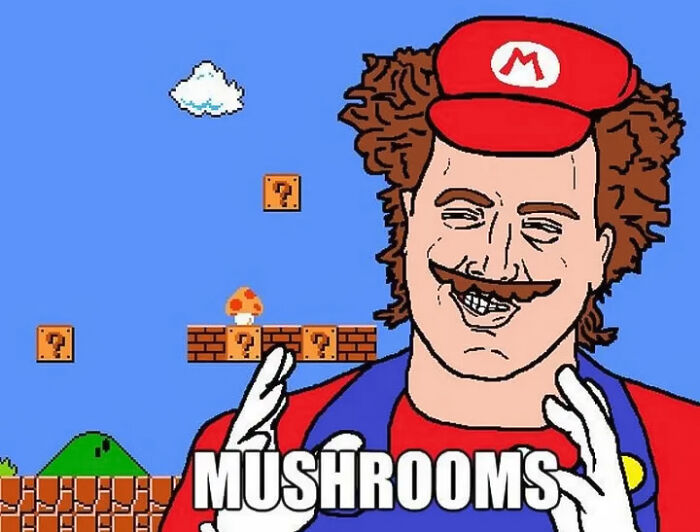 A cartoon man looking like Mario in game surrounding talks about mushrooms
