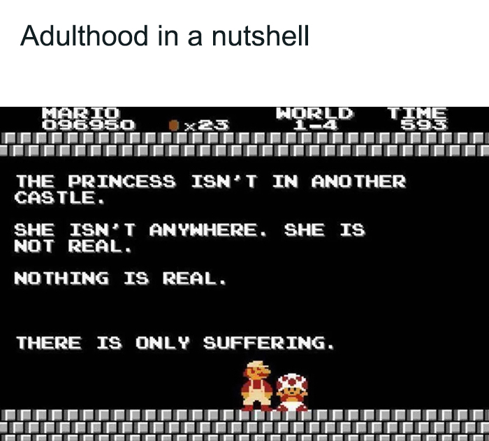 Mario and Toad in-game and there is text about adulthood