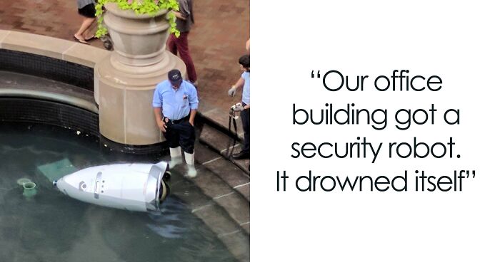 ‘Mildly Interesting’: 50 Images To Amuse You Just Slightly (New Pics)