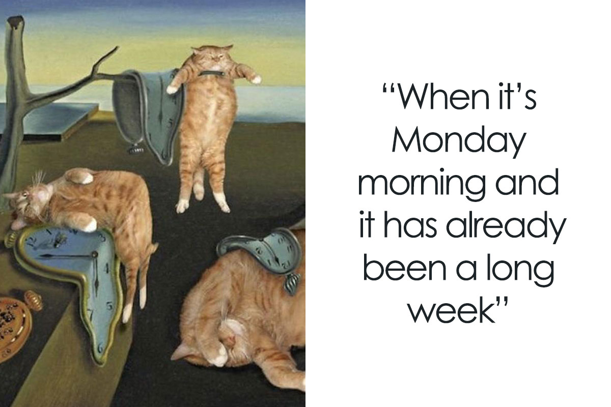 WHO? WHAT? WOW! The week in weird