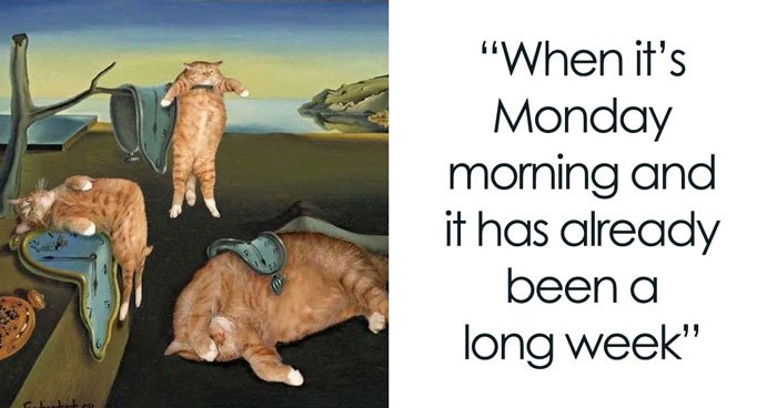 65 Funniest Monday Memes To Get You Through The Day