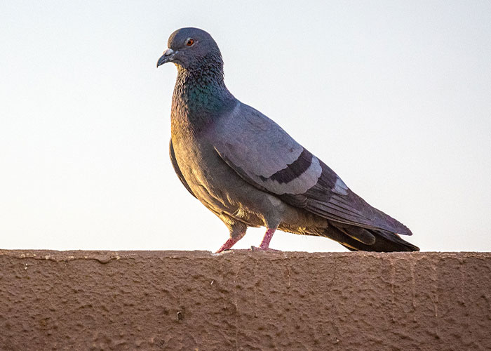 40 Disturbing, Weird Or Hilarious Finds Parents Made When Snooping In Their Kids’ Rooms