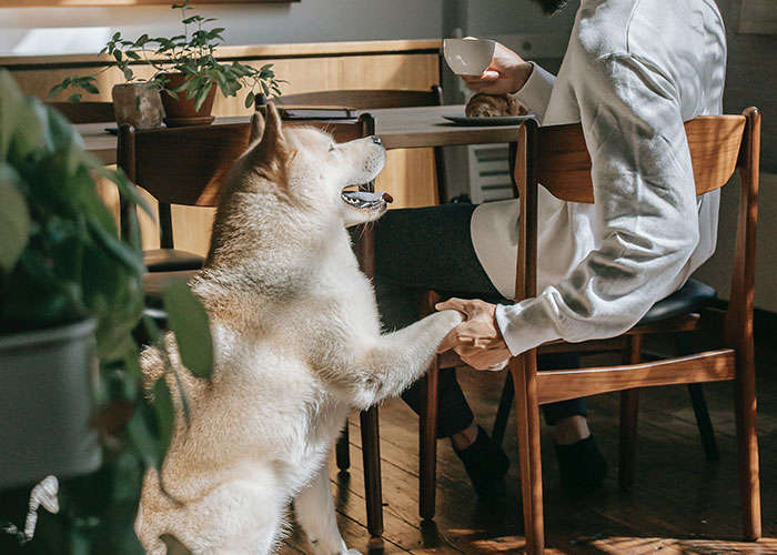 40 Incredibly Dumb Things People Have Said That They Probably Regretted Afterwards