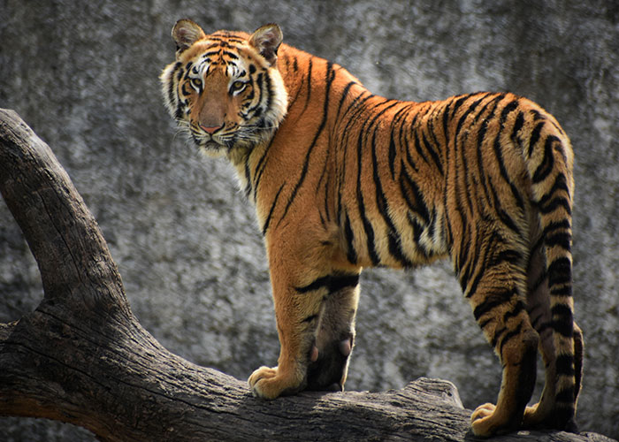 40 Incredibly Dumb Things People Have Said That They Probably Regretted Afterwards