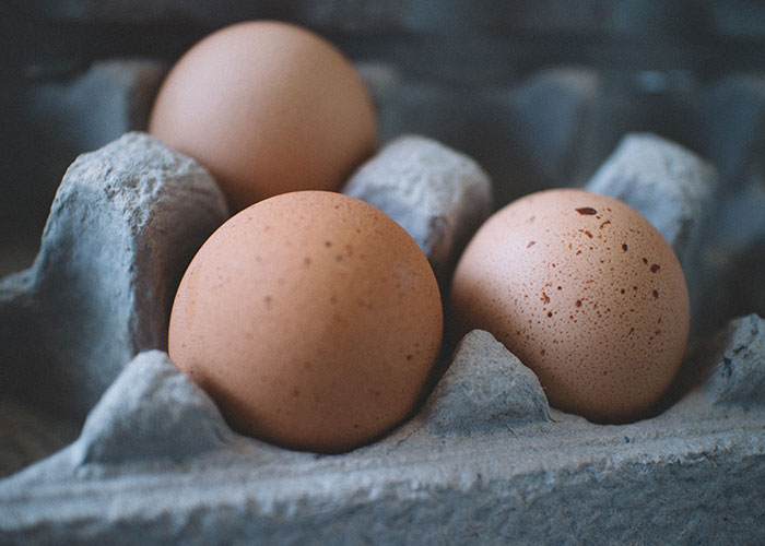 40 Incredibly Dumb Things People Have Said That They Probably Regretted Afterwards