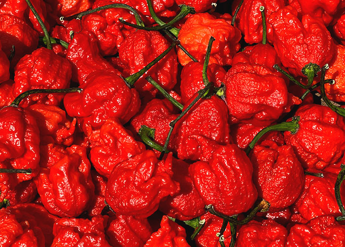 Guy Decides To Punish A Sandwich Thief, Ends Up Being At Fault As It Turns Out To Be A Kid Guy Decides To Punish A Sandwich Thief, Ends Up Being At Fault As It Turns Out To Be A Kid