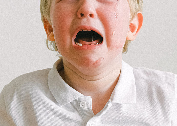 Guy Decides To Punish A Sandwich Thief, Ends Up Being At Fault As It Turns Out To Be A Kid Guy Decides To Punish A Sandwich Thief, Ends Up Being At Fault As It Turns Out To Be A Kid