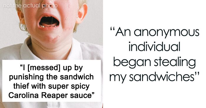 Guy Decides To Punish A Sandwich Thief, Ends Up Being At Fault As It Turns Out To Be A KidGuy Decides To Punish A Sandwich Thief, Ends Up Being At Fault As It Turns Out To Be A Kid