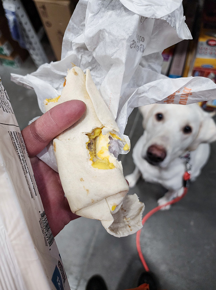 I Got A Burrito At Work. I Leaned Over To Pick My Can Of Paint Up, And Aspen Snatched A Bite