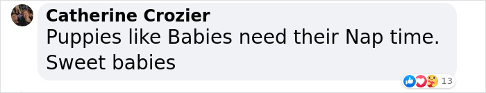 K9 Puppy Melts Hearts By Dozing Off During Swearing-In Ceremony K9 Puppy Melts Hearts By Dozing Off During Swearing-In Ceremony