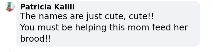 Watch Mama Raccoon Bringing Albino Babies To Her Favorite People Watch Mama Raccoon Bringing Albino Babies To Her Favorite People