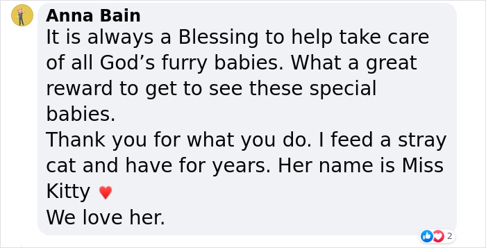 Watch Mama Raccoon Bringing Albino Babies To Her Favorite People Watch Mama Raccoon Bringing Albino Babies To Her Favorite People