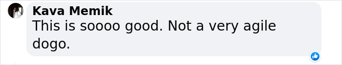 “I Feel I’m No Longer Human”: Man Spends $23,000 To Transform Into A Wolf “I Feel I’m No Longer Human”: Man Spends $23,000 To Transform Into A Wolf