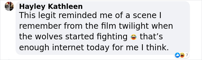 “I Feel I’m No Longer Human”: Man Spends $23,000 To Transform Into A Wolf “I Feel I’m No Longer Human”: Man Spends $23,000 To Transform Into A Wolf
