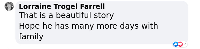 TikToker Gets Airbnb With Adorable Deaf and Blind Dog Who Guides Guests To The Beach TikToker Gets Airbnb With Adorable Deaf and Blind Dog Who Guides Guests To The Beach