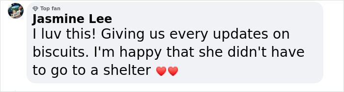 Kitten Wins Hearts Online After Asking To Be Rescued From The Bushes