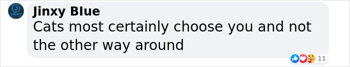 Kitten Wins Hearts Online After Asking To Be Rescued From The Bushes