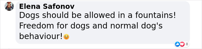 Crowd Can’t Stop Laughing At Dog Frolicking In A Fountain Crowd Can’t Stop Laughing At Dog Frolicking In A Fountain