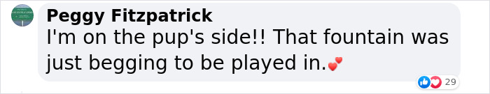 Crowd Can’t Stop Laughing At Dog Frolicking In A Fountain Crowd Can’t Stop Laughing At Dog Frolicking In A Fountain