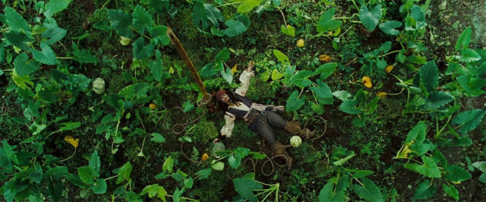 Jack Sparrow laying on green grass 