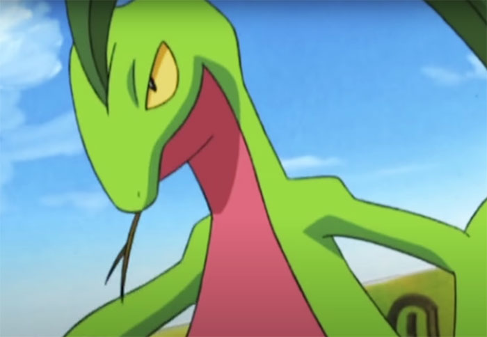 Grovyle and blue background
