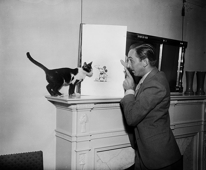 Walt Disney With His Cat And Mickey Mouse Drawing