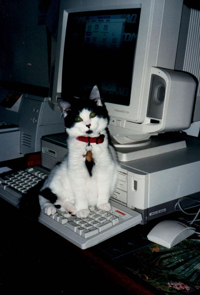 My Awesome Childhood Cat With My Childhood Computer In The Mid-1990s