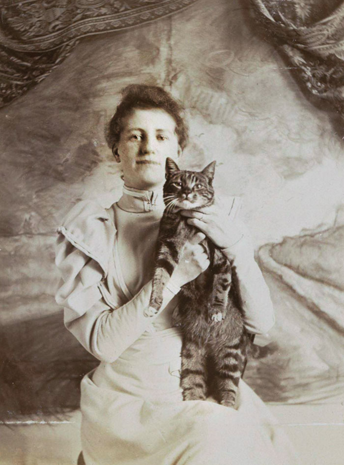 Portrait Of Miele Van Kerckhoff With A Cat In 1890s
