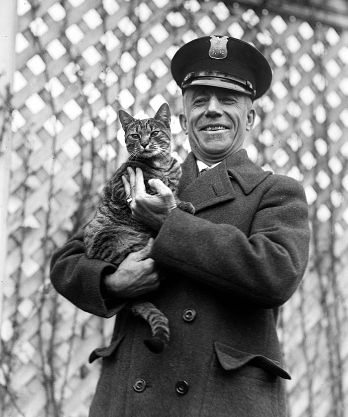 Benjamin Fink Holding The White House Cat Tiger Referred To As "Tige"