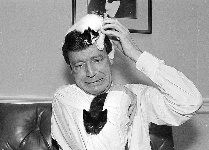 Kittens Crawling On The Bucks County, Pennsylvania Representative Peter Kostmayer In His Congressional Office In 1991