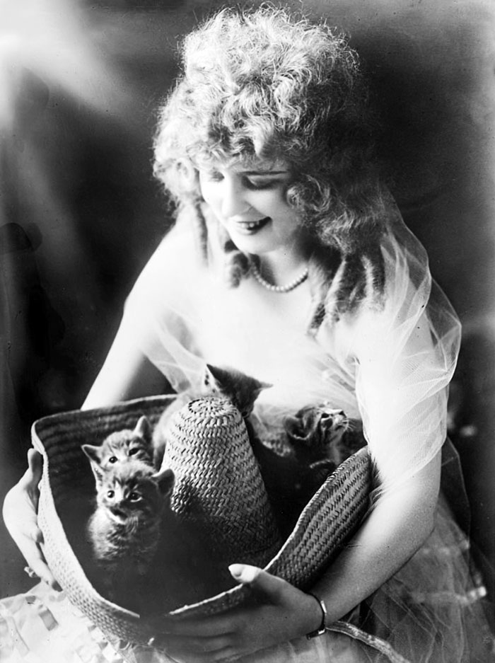 Alma Hanlon With Kittens
